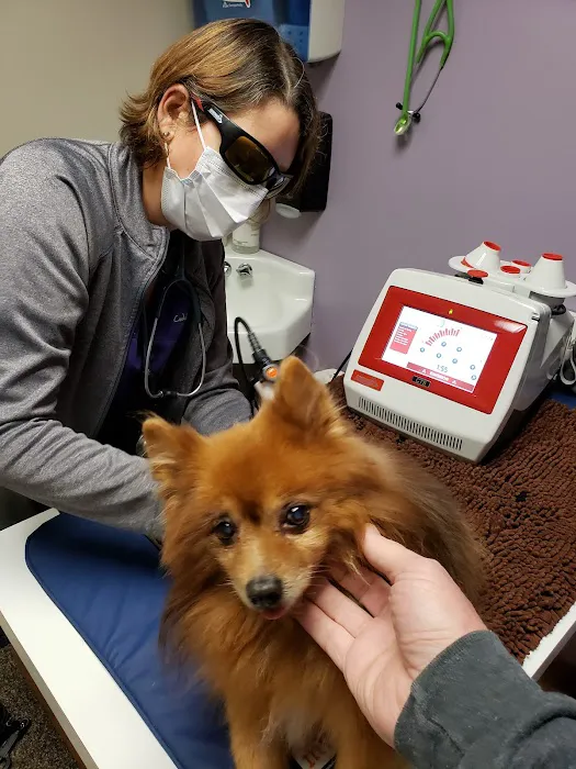 Cudahy Veterinary Clinic Picture 2