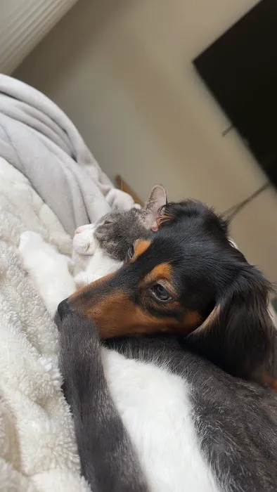 Cudahy Veterinary Clinic Picture 9