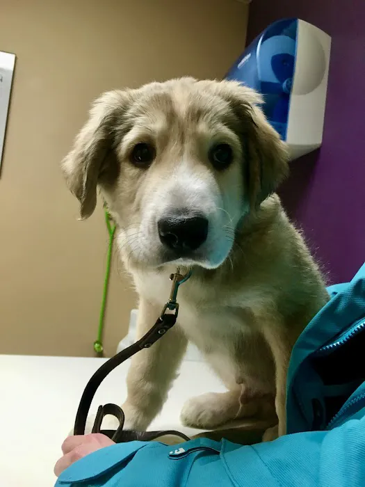 Cudahy Veterinary Clinic Picture 5