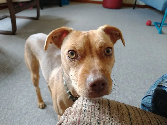 Cudahy Veterinary Clinic Picture 8