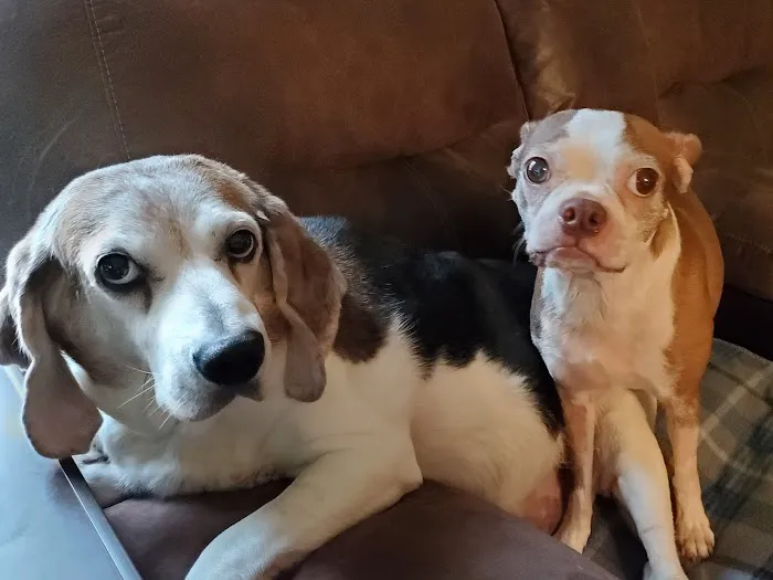 Cudahy Veterinary Clinic Picture 7