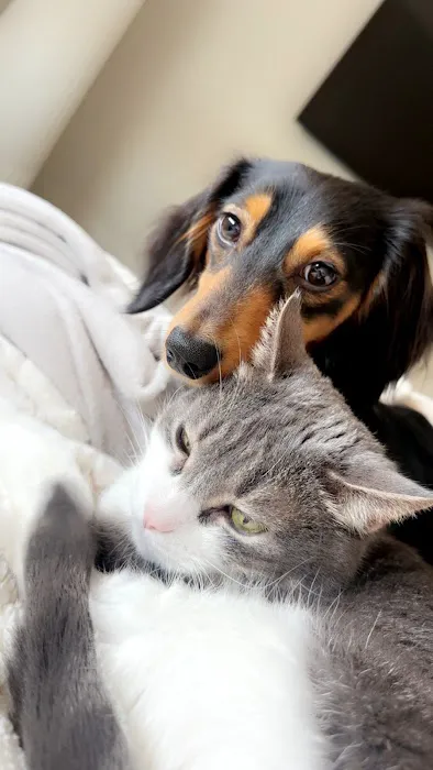 Cudahy Veterinary Clinic Picture 6