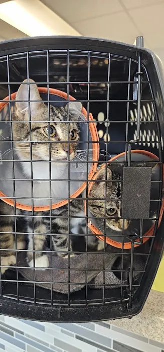 Airport Animal Hospital Picture 2