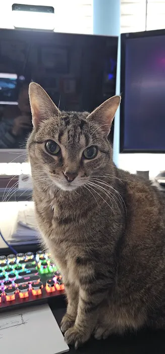 Airport Animal Hospital Picture 6