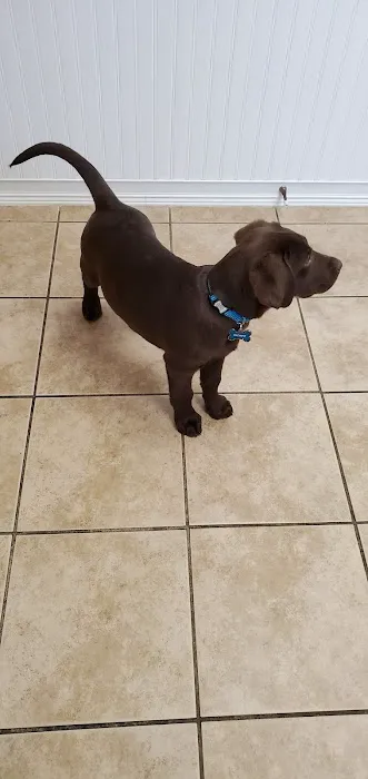 Airport Animal Hospital Picture 10