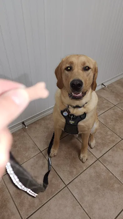 Airport Animal Hospital Picture 5