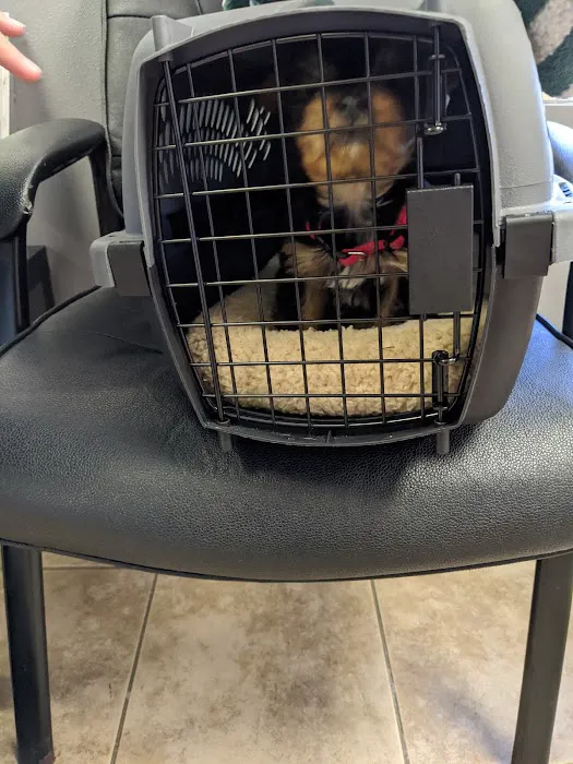 Airport Animal Hospital Picture 7