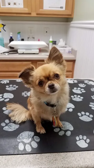 Airport Animal Hospital Picture 9