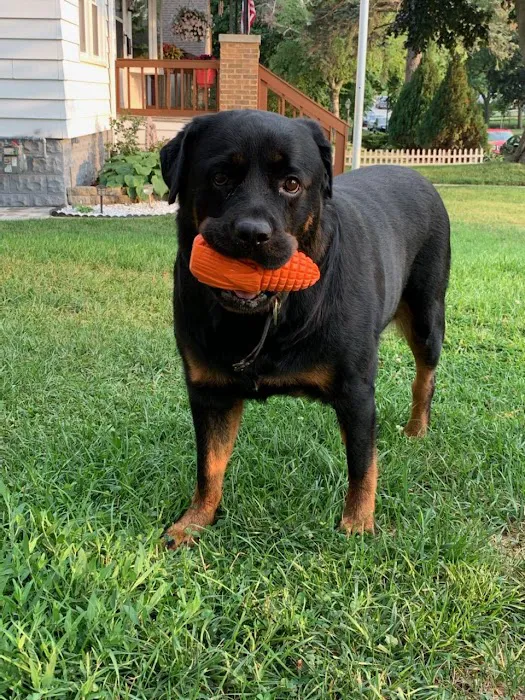 Advanced Animal Hospital - WI Picture 3