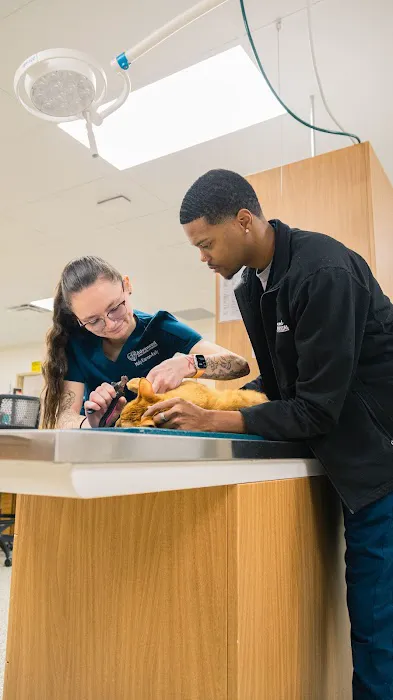 Advanced Animal Hospital - WI Picture 5