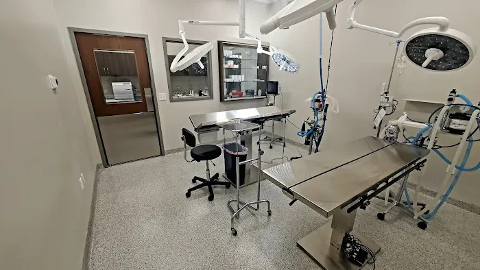 St. Francis Animal Hospital Picture 2