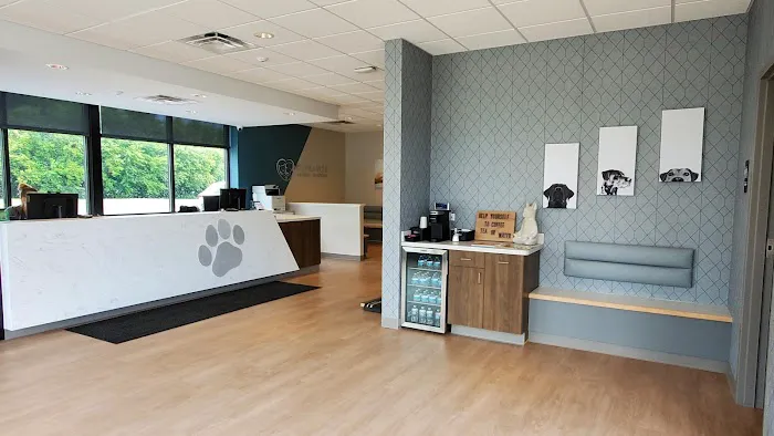 St. Francis Animal Hospital Picture 7