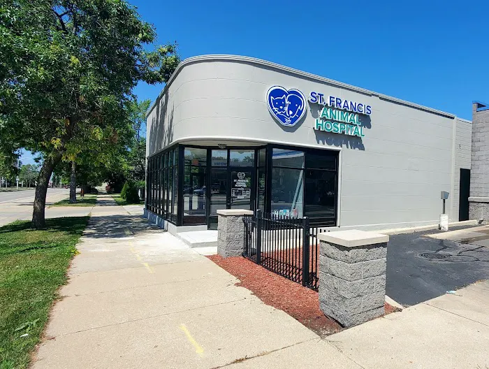 St. Francis Animal Hospital Picture 8