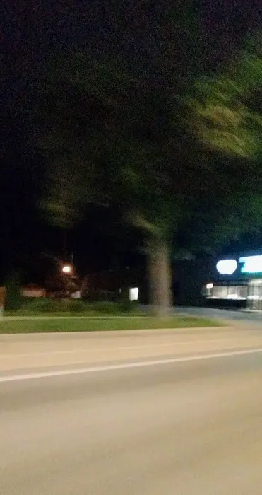 Flynn Michelle DVM Picture 1