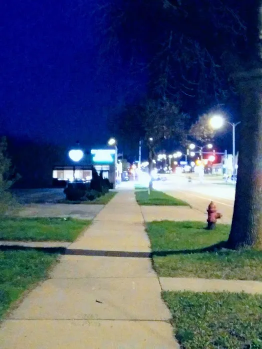 Flynn Michelle DVM Picture 3