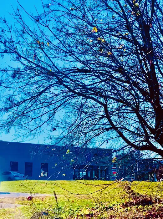 Flynn Michelle DVM Picture 5