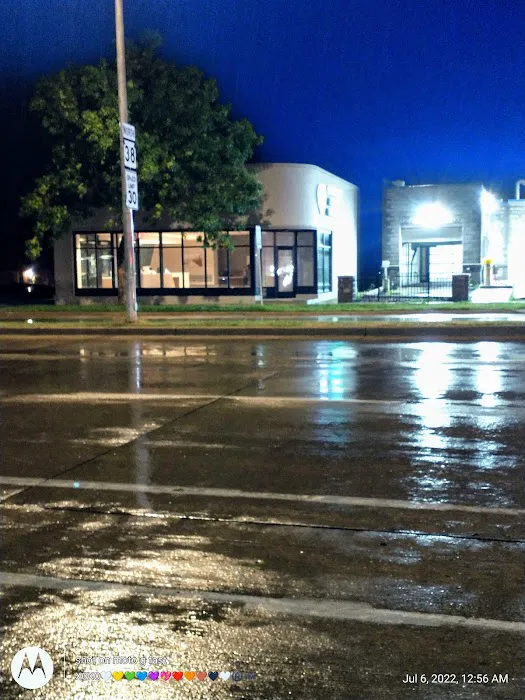 Flynn Michelle DVM Picture 4