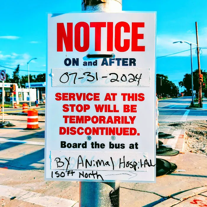 Flynn Michelle DVM Picture 7