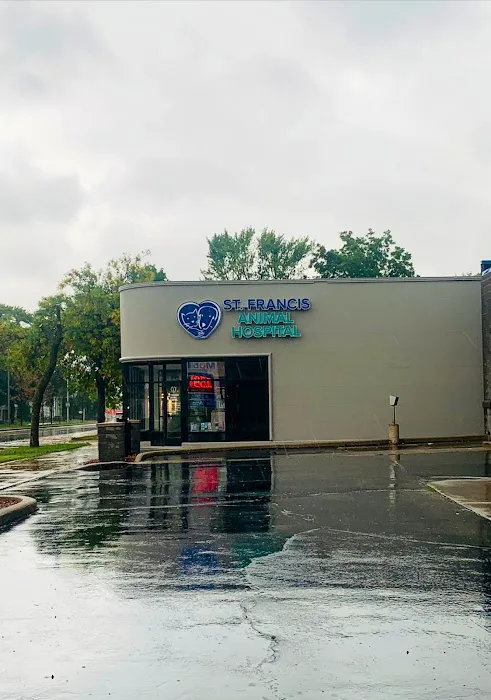 Flynn Michelle DVM Picture 6