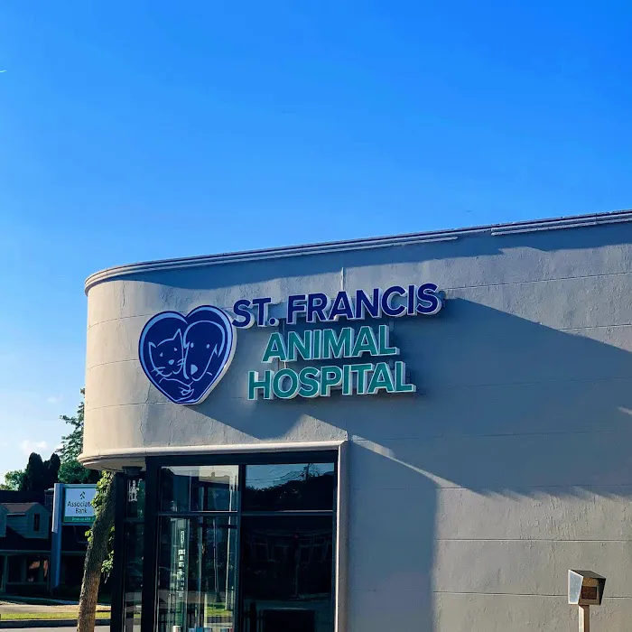 Flynn Michelle DVM Picture 10