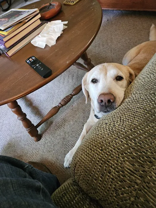 COVE Center of Veterinary Excellence Picture 2