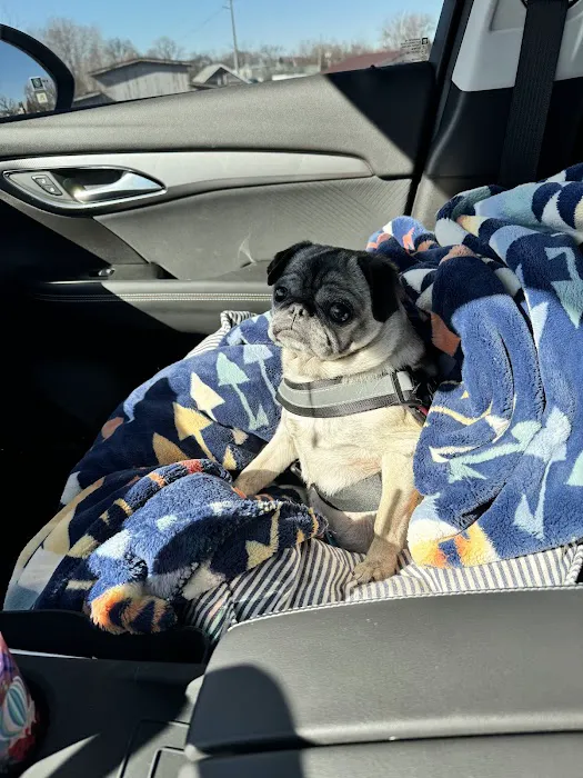 COVE Center of Veterinary Excellence Picture 1