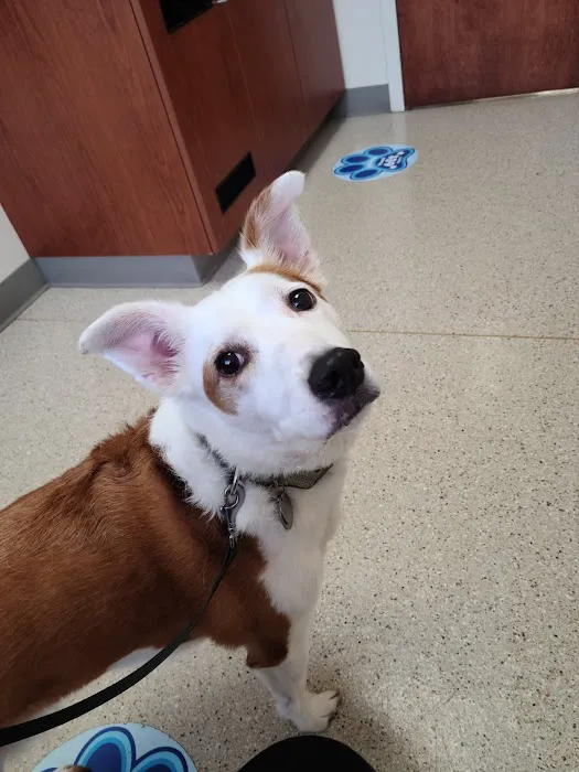 Waukesha Walk-in Vet Clinic Picture 2