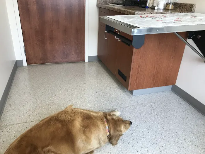 Waukesha Walk-in Vet Clinic Picture 1