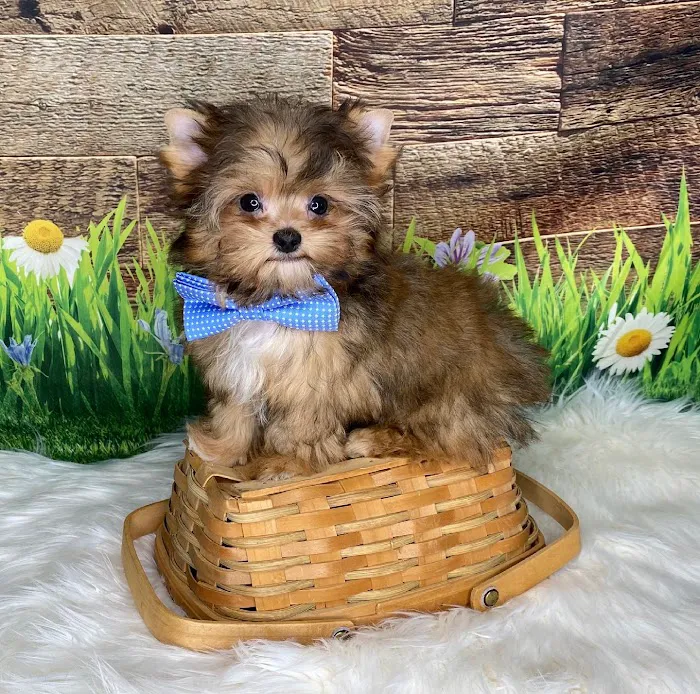 Waukesha Walk-in Vet Clinic Picture 3