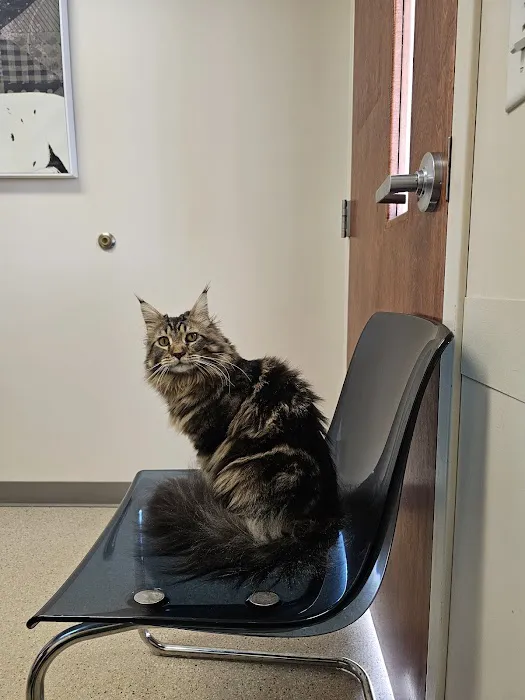 Waukesha Walk-in Vet Clinic Picture 6