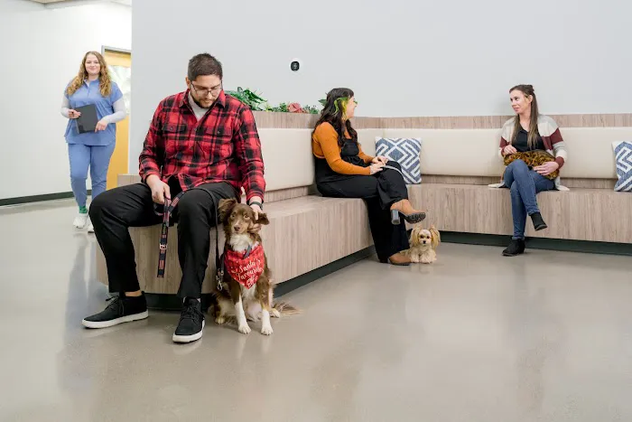 Westown Veterinary Clinic Picture 4