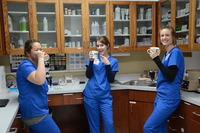 Westown Veterinary Clinic Picture 2