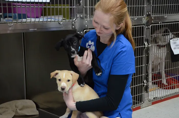 Westown Veterinary Clinic Picture 1