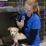 Westown Veterinary Clinic