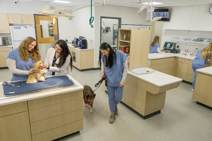 Westown Veterinary Clinic Picture 8