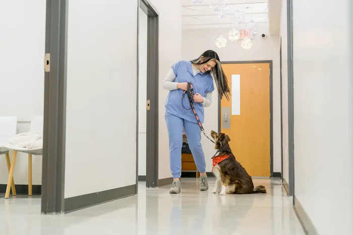 Westown Veterinary Clinic Picture 6