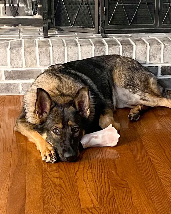 Westown Veterinary Clinic Picture 5