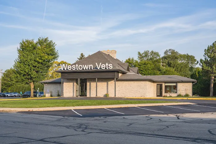 Westown Veterinary Clinic Picture 10