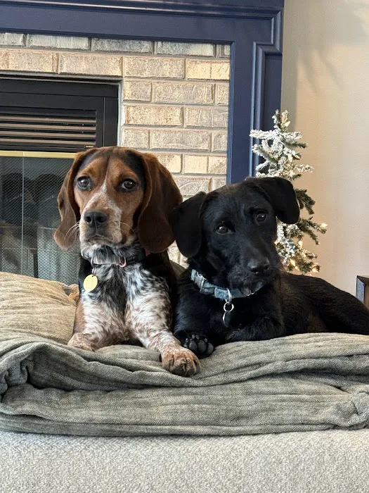 Companion Animal Hospital Picture 1