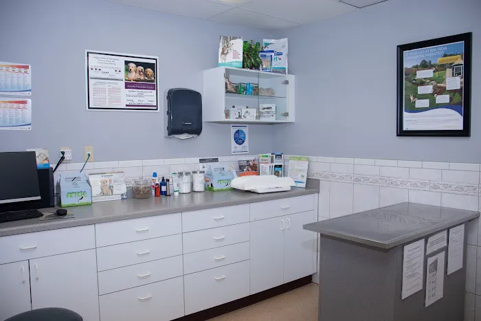 Companion Animal Hospital Picture 2