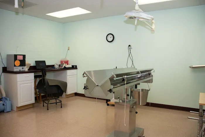 Companion Animal Hospital Picture 7