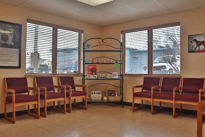 Companion Animal Hospital Picture 8