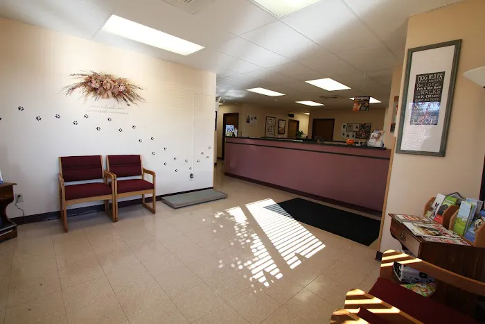 Companion Animal Hospital Picture 5