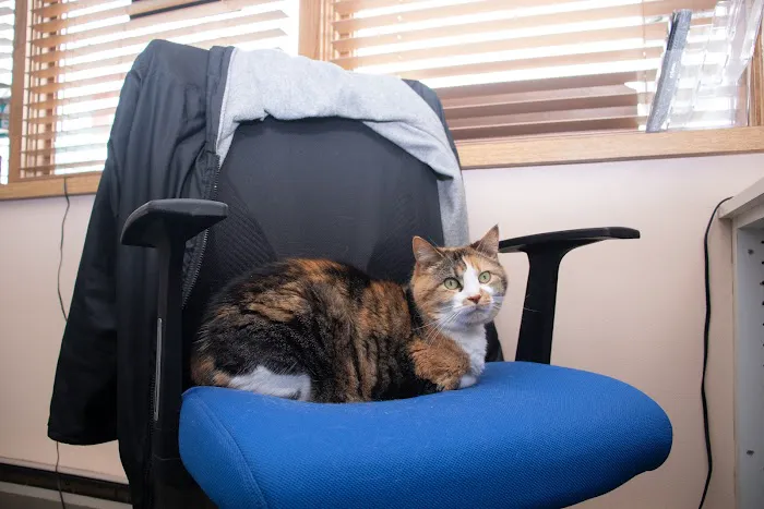 Companion Animal Hospital Picture 10