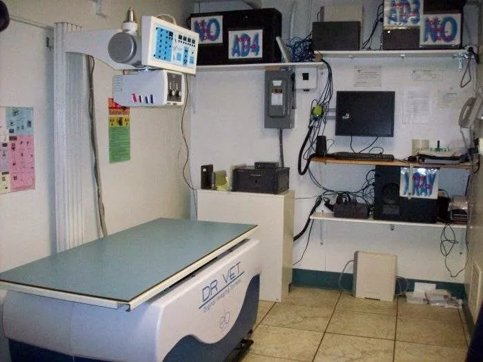 VCA Pahle Animal Hospital Picture 6