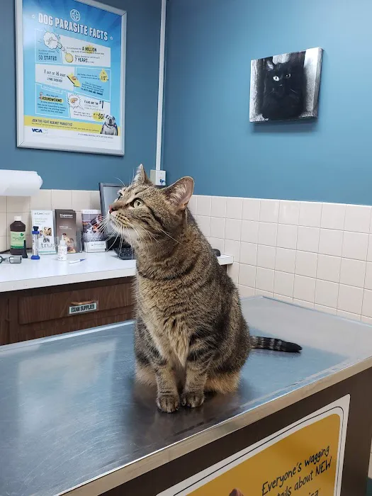 VCA Pahle Animal Hospital Picture 3