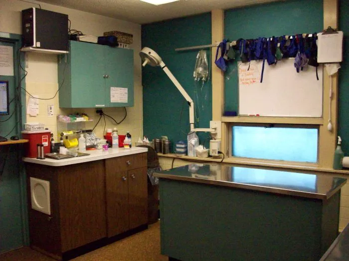 VCA Pahle Animal Hospital Picture 8