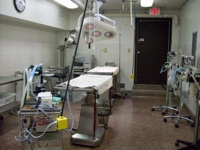 VCA Pahle Animal Hospital Picture 7