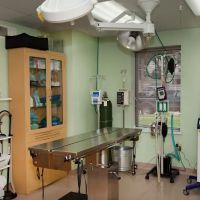 West Allis Veterinary Clinic ico