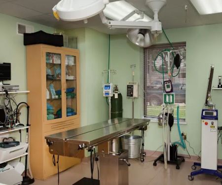 West Allis Veterinary Clinic